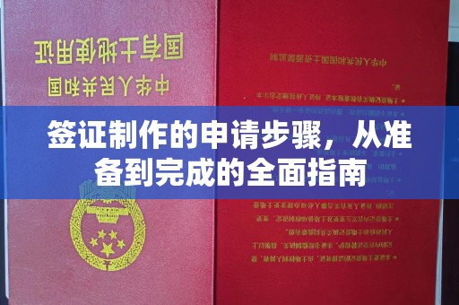 大厂签证制作的申请步骤，从准备到完成的全面指南