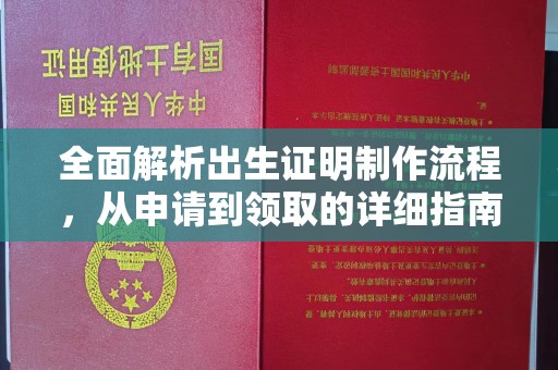 大厂全面解析出生证明制作流程，从申请到领取的详细指南