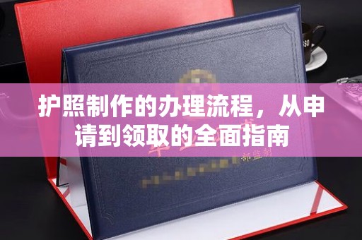大厂护照制作的办理流程，从申请到领取的全面指南