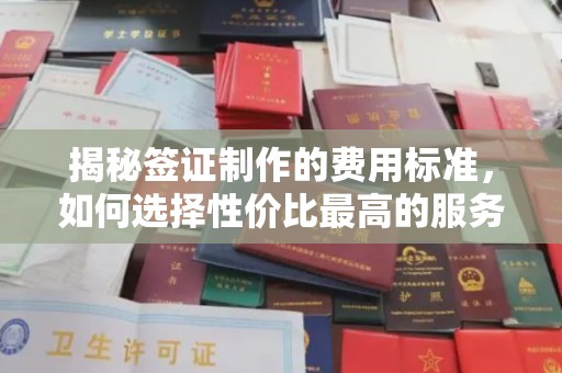 大厂揭秘签证制作的费用标准，如何选择性价比最高的服务？
