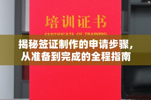 大厂揭秘签证制作的申请步骤，从准备到完成的全程指南
