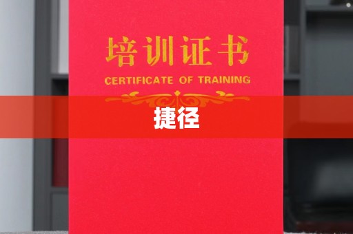 大厂捷径