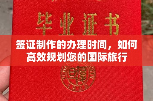 大厂签证制作的办理时间，如何高效规划您的国际旅行